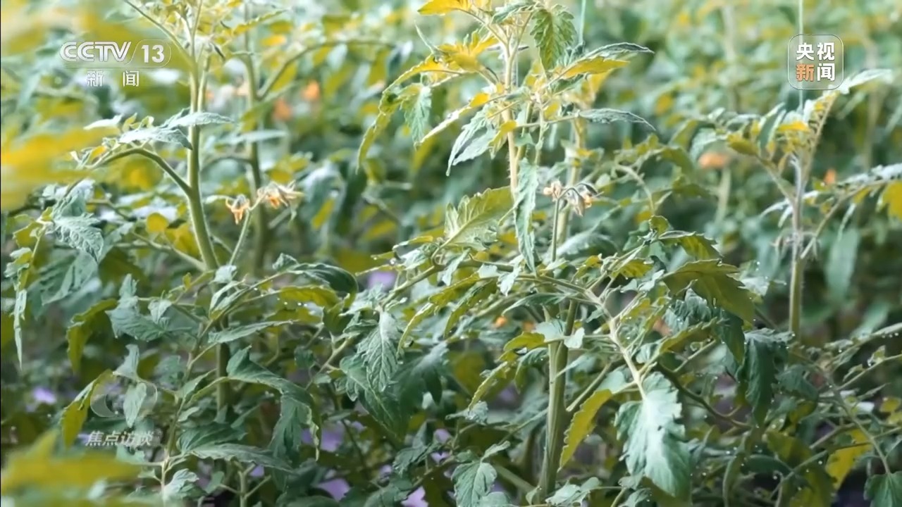 寒潮“速冻”全国 他们一直坚守在保供保畅一线