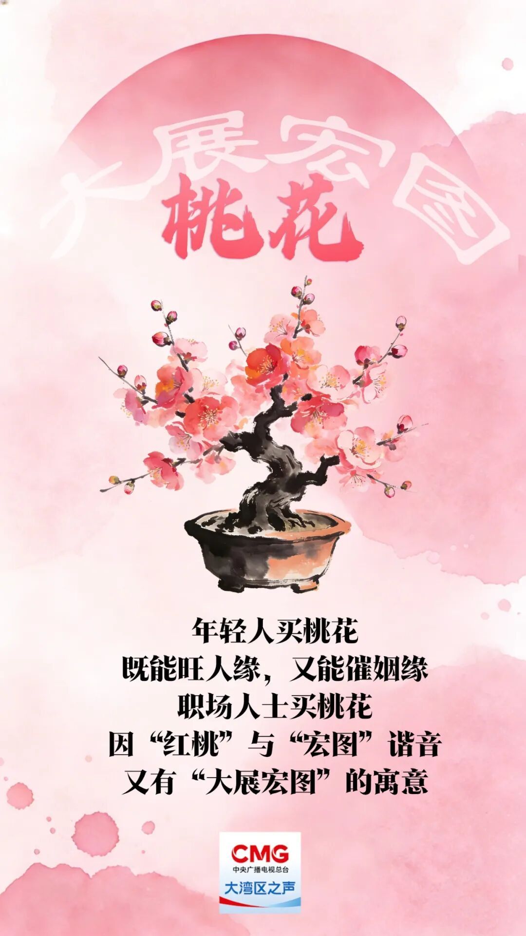 “乱花渐欲迷人眼”？老广的年味都藏在这里