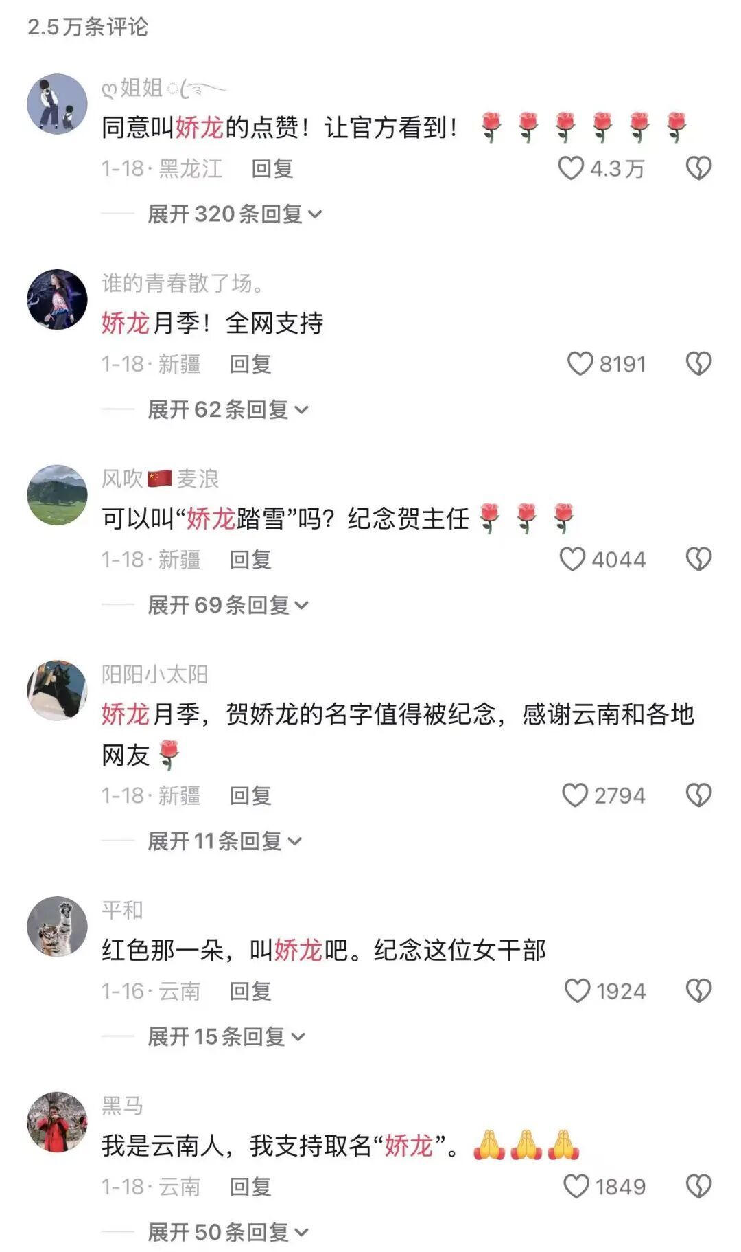 官方回应｜为什么是“娇龙”