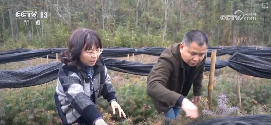 除冰保畅、踏冰送水、指导生产 多部门精准施策办好民生实事保障百姓生产生活