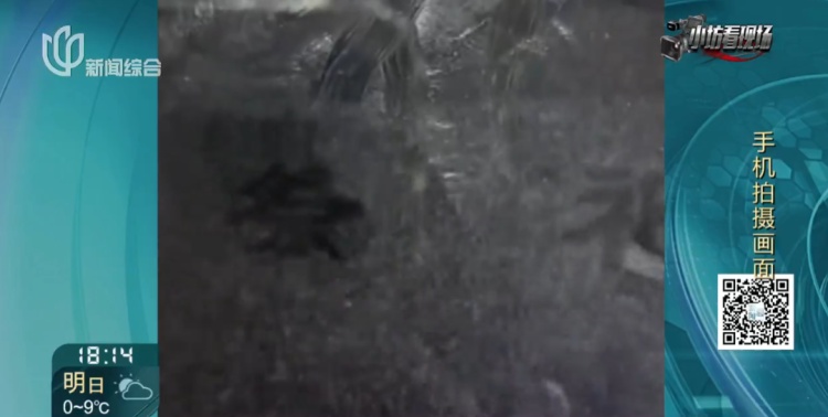 上海阿姨卡里突然多出一笔巨款！这笔钱竟被带到墓地……