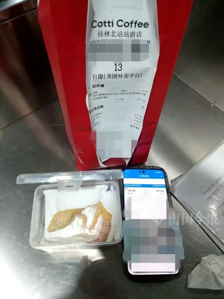 真不能带！广西一火车站内，旅客从口袋掏出一团毛茸茸……还是活的！