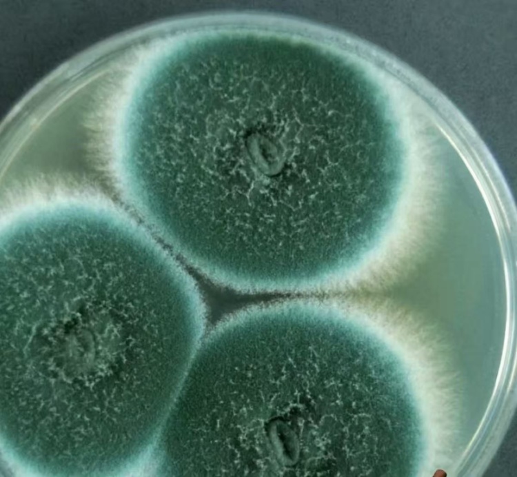 这种致癌物藏在家里，很多人天天接触却浑然不知！