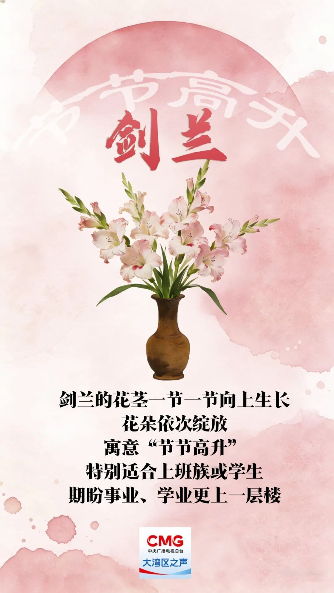 “乱花渐欲迷人眼”？老广的年味都藏在这里