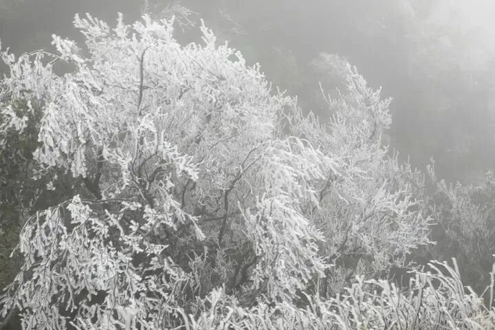 直冲20℃+！广西冷完就热，“回南天”将上线