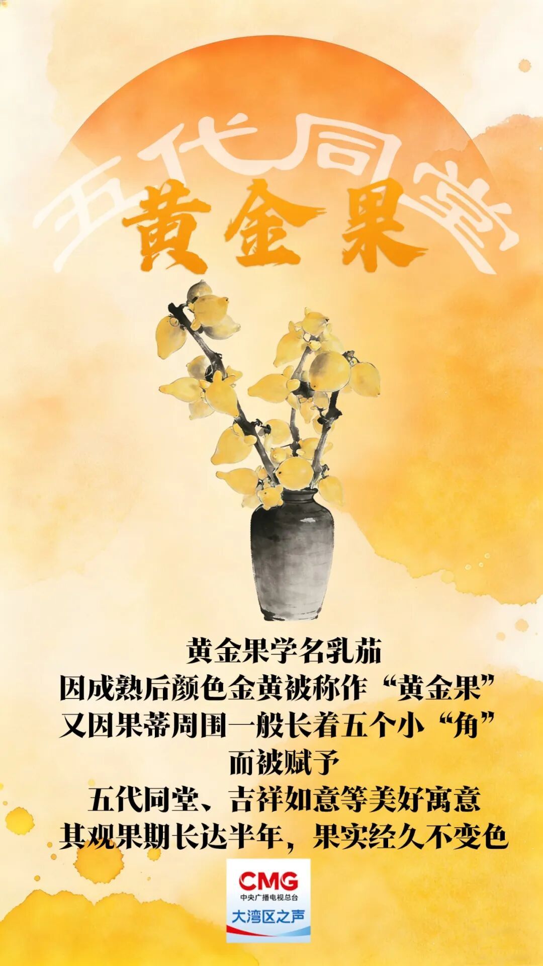 “乱花渐欲迷人眼”？老广的年味都藏在这里