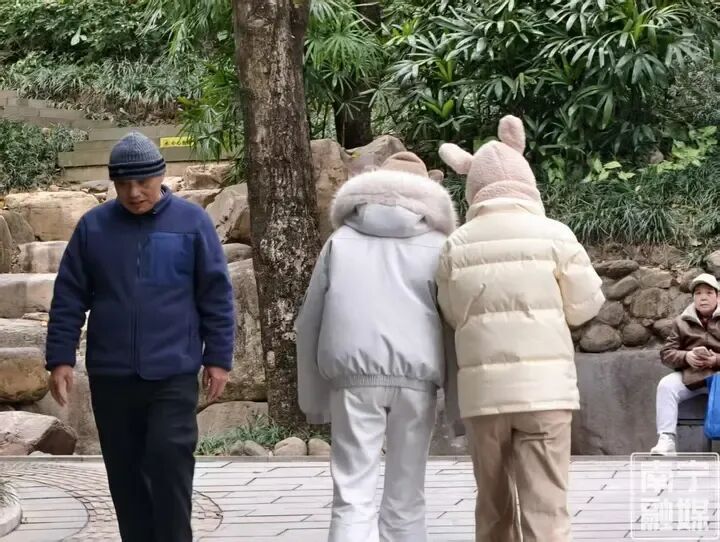 直冲20℃+！广西冷完就热，“回南天”将上线