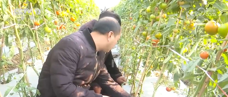 除冰保畅、踏冰送水、指导生产 多部门精准施策办好民生实事保障百姓生产生活