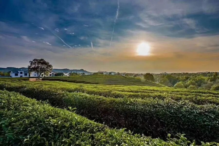 从“生态伤疤”到“仙侠世界”，这里的乡村为何火遍全球？