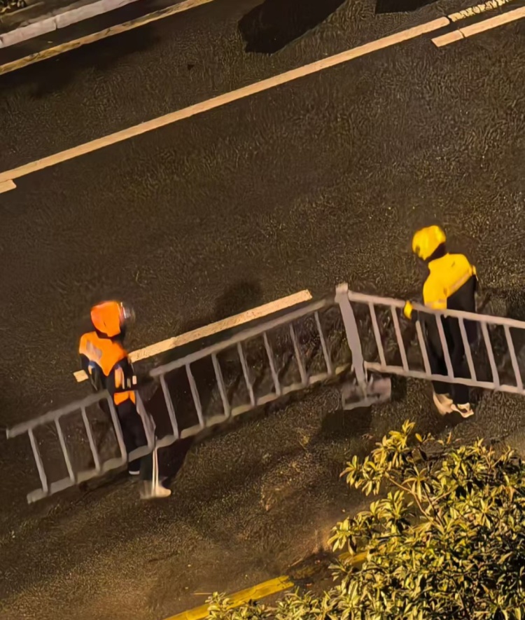 男子听到窗外异响,他忍不住拿起手机拍下:“非常感动” 男子听到窗外异响,他忍不住拿起手机拍下:“非常感动”