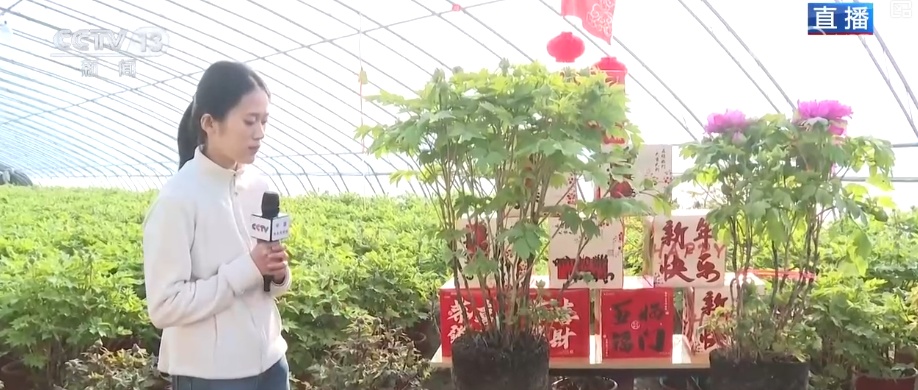 美丽经济为消费“增”色“添”活力 “好颜值”转化“好价值”助农增收 美丽经济为消费“增”色“添”活力 “好颜值”转化“好价值”助农增收