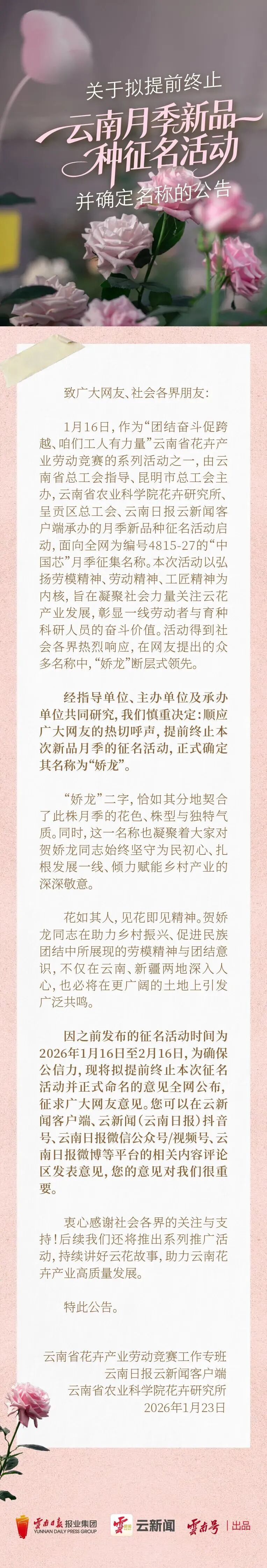 新品种月季，被正式命名为“娇龙”