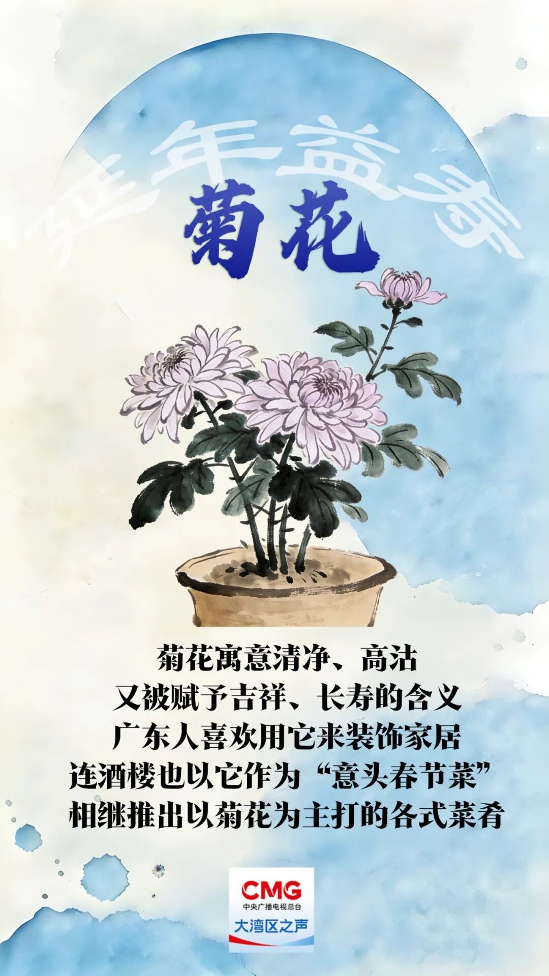 “乱花渐欲迷人眼”？老广的年味都藏在这里