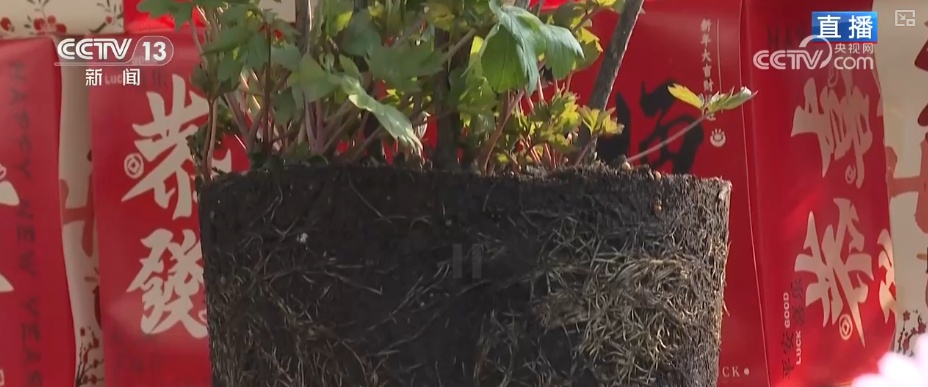 美丽经济为消费“增”色“添”活力 “好颜值”转化“好价值”助农增收 美丽经济为消费“增”色“添”活力 “好颜值”转化“好价值”助农增收