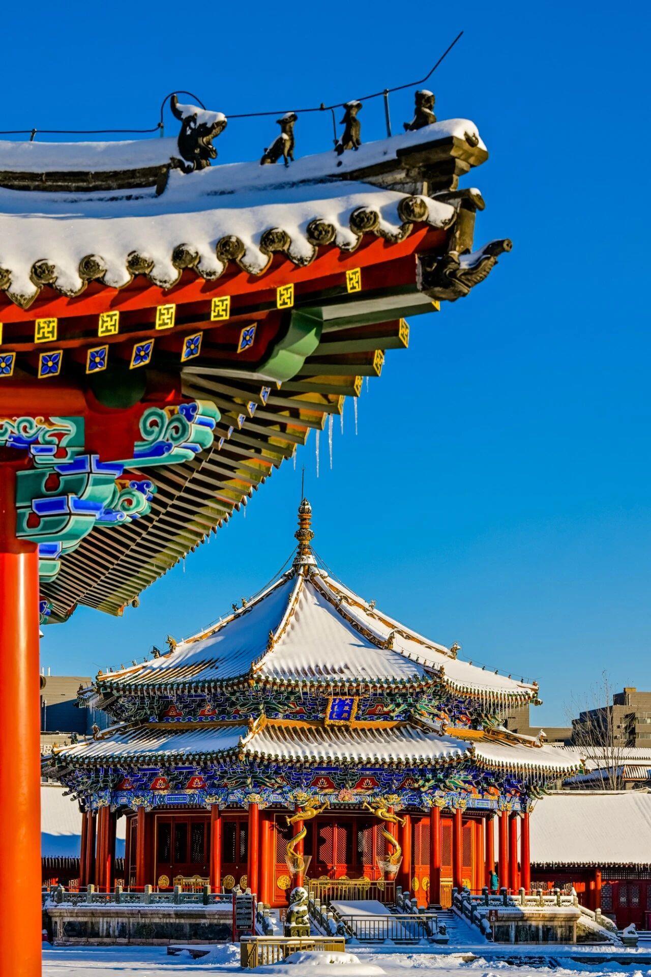 “马”上免费！全国多地景区推出马年限定福利