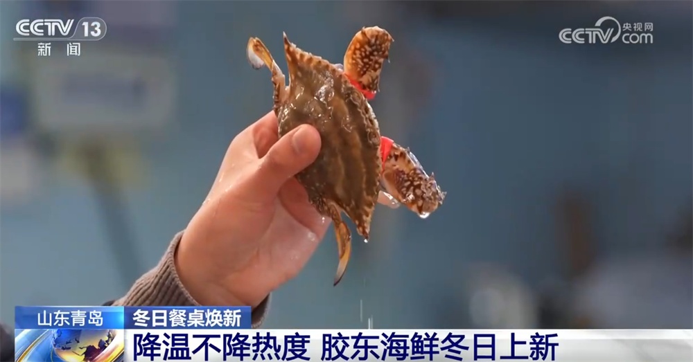 “蓝色粮仓”丰盈助力百姓冬日餐桌轮番“上新” 新体验解锁老集市“新滋味”