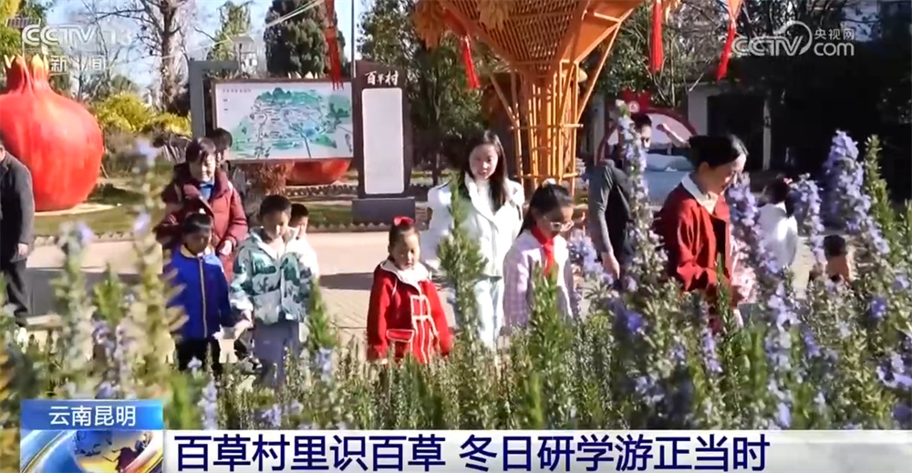 室内游升温、研学游正当时 文旅“热”让“冬日经济”多点开花、活力迸发