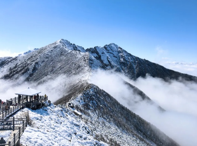 “马”上免费！全国多地景区推出马年限定福利