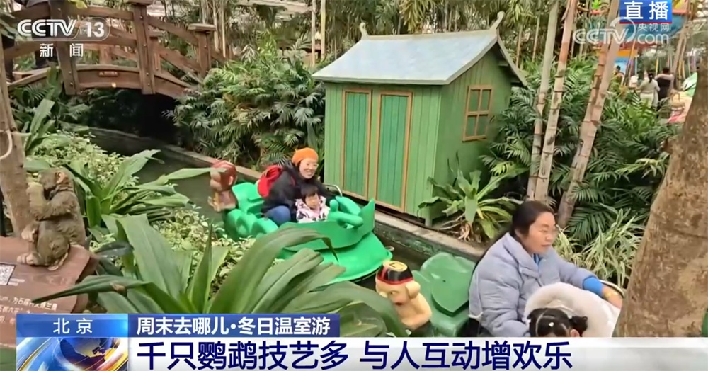 室内游升温、研学游正当时 文旅“热”让“冬日经济”多点开花、活力迸发