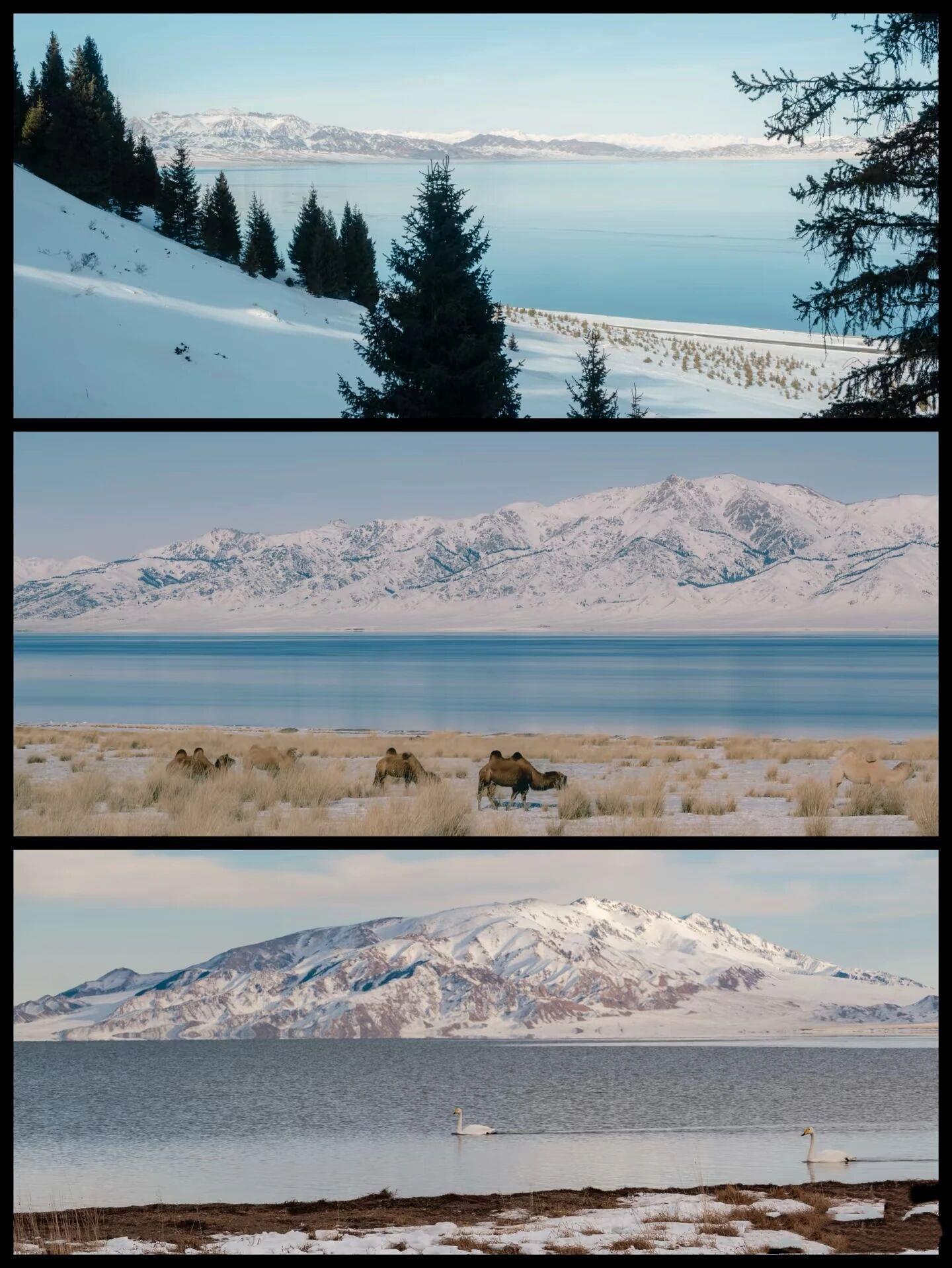 “马”上免费！全国多地景区推出马年限定福利