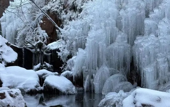 “马”上免费！全国多地景区推出马年限定福利