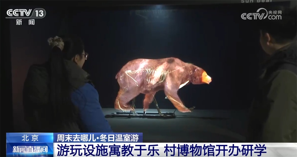 室内游升温、研学游正当时 文旅“热”让“冬日经济”多点开花、活力迸发