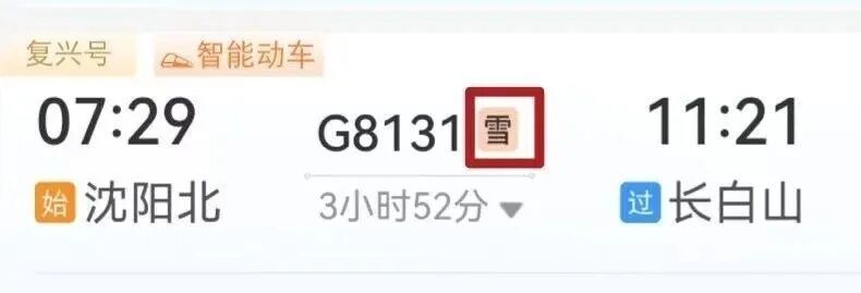车票出现“雪”字？12306购票页上的这些标识，到底啥意思？