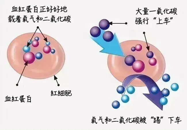 门窗开个缝就不会中毒？这些一氧化碳认知误区别再信了