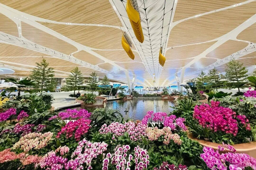 港澳居民“北上”乘机注意，广州白云机场有调整→