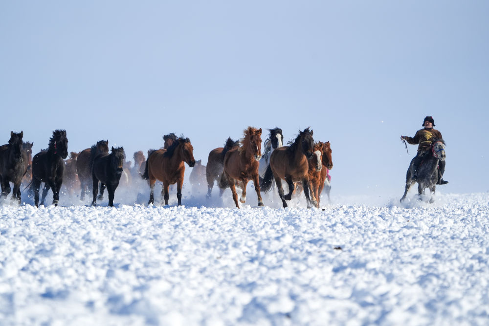 赴一场冰雪之约！看见新疆的冬日浪漫