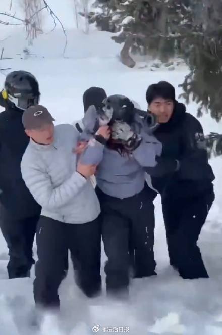 官方通报雪豹咬伤滑雪游客已被救治