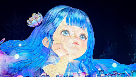 亮灯！第32届自贡国际恐龙灯会启幕