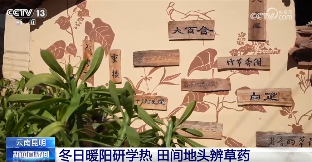 室内游升温、研学游正当时 文旅“热”让“冬日经济”多点开花、活力迸发