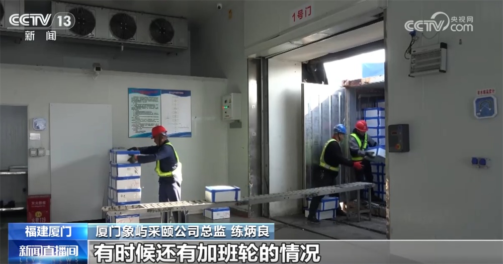 海峡两岸货物往来需求持续攀升 民生货品实现“夕发朝至”双向运输