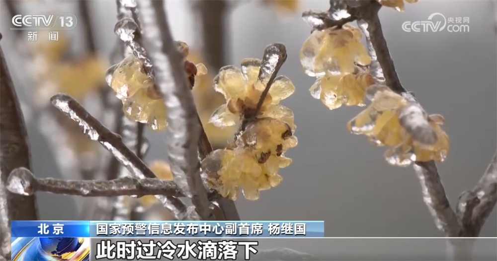 从气象数据解读2026年首场寒潮 我国气象观测预报技术“向新向智”迭代升级