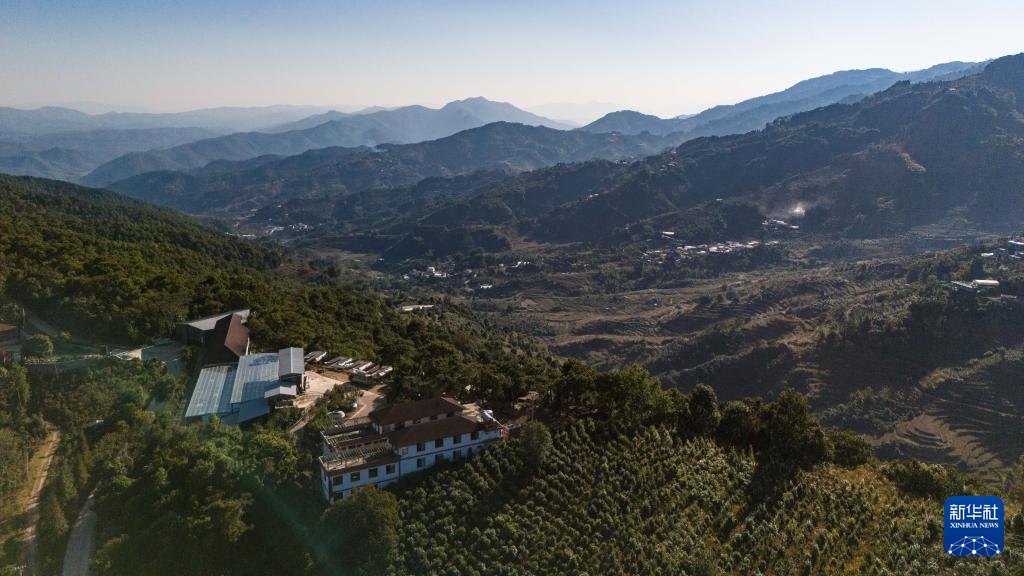 云南临沧:构建咖啡“从种到杯”全产业链 云南临沧:构建咖啡“从种到杯”全产业链