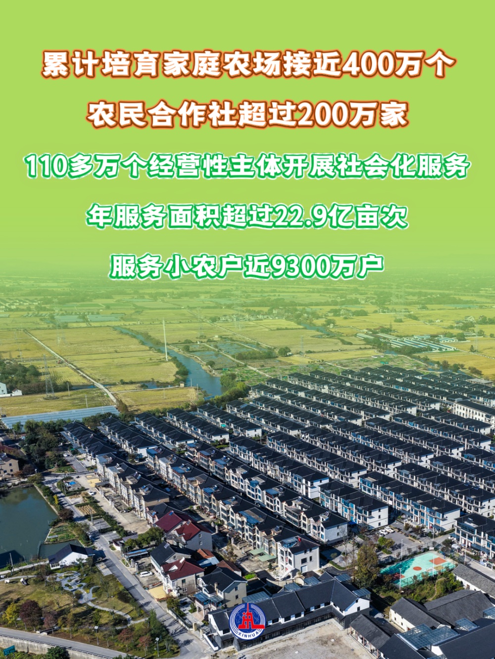 成绩喜人，五个角度看2025年“三农”发展新变化