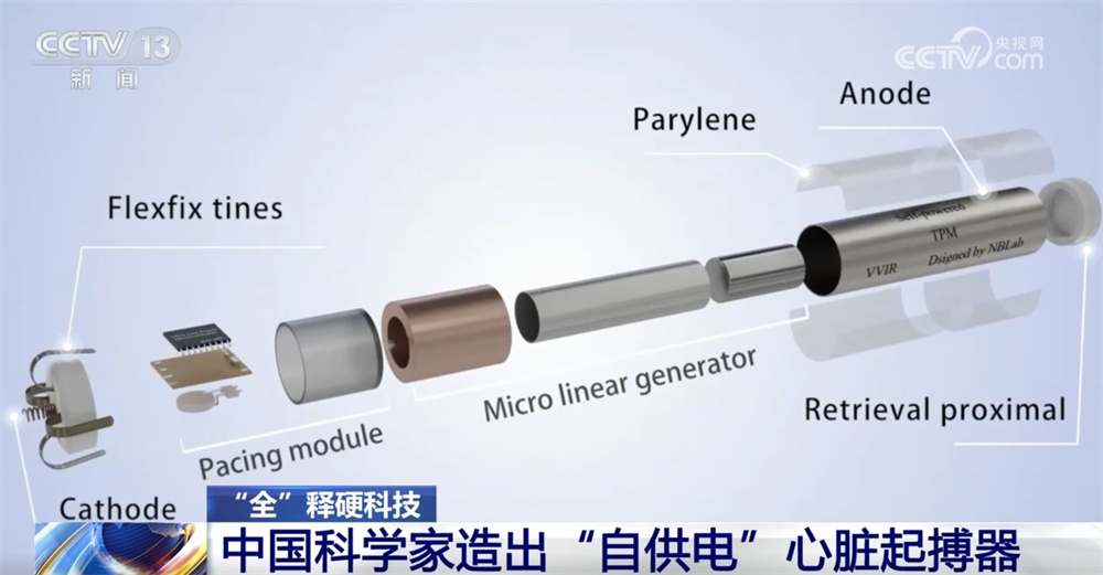 当机器和人体实现“双向奔赴” 中国科学家造出“自供电”心脏起搏器