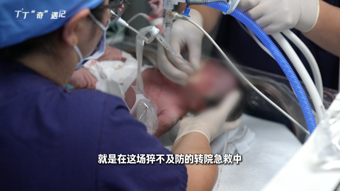 5%的希望你会救吗？这些畸形产前难查出，生与不生不该是“盲选”！