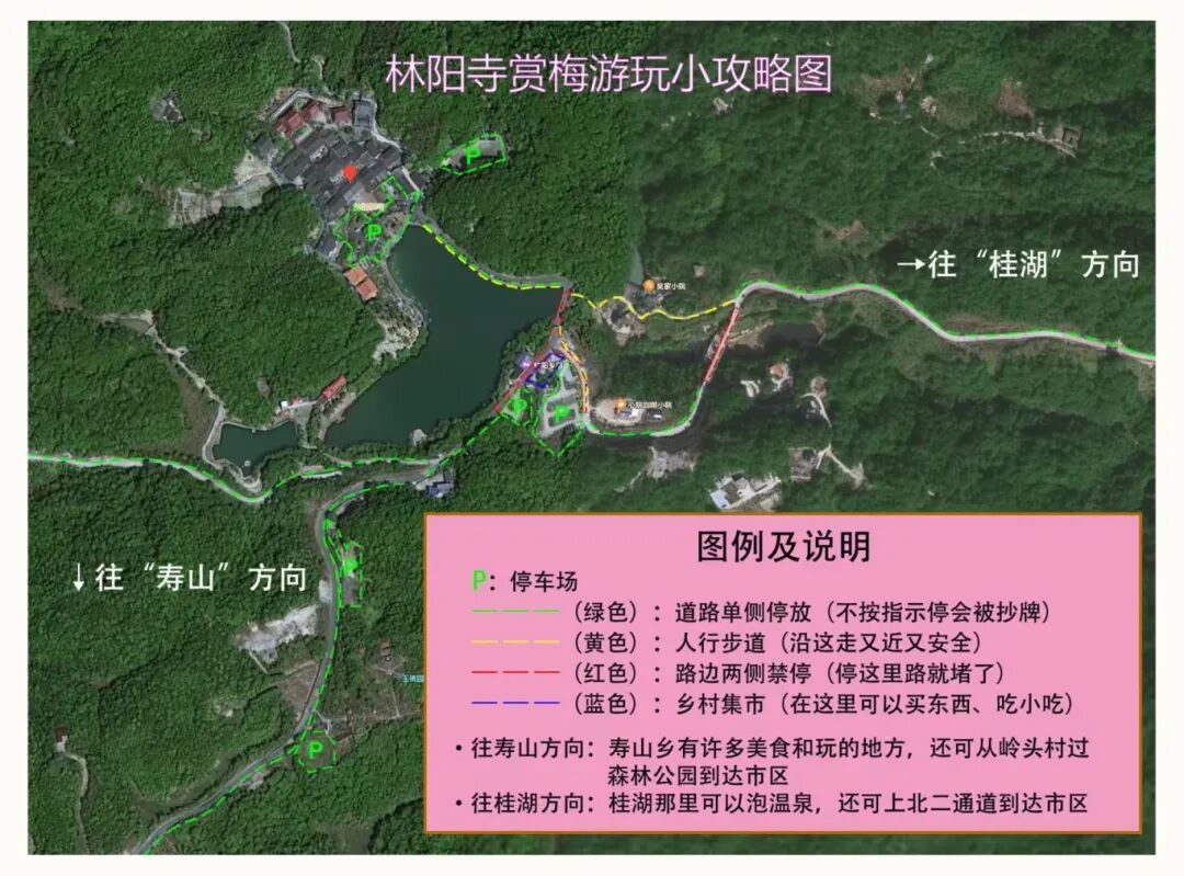 千年古刹染梅香！福州人久等的林阳寺梅花开了！很多人赶去打卡……