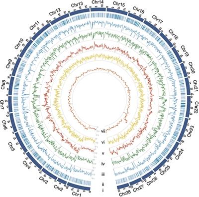 小小家蚕,原来有这么多神奇应用(院士讲科普) 小小家蚕,原来有这么多神奇应用(院士讲科普)