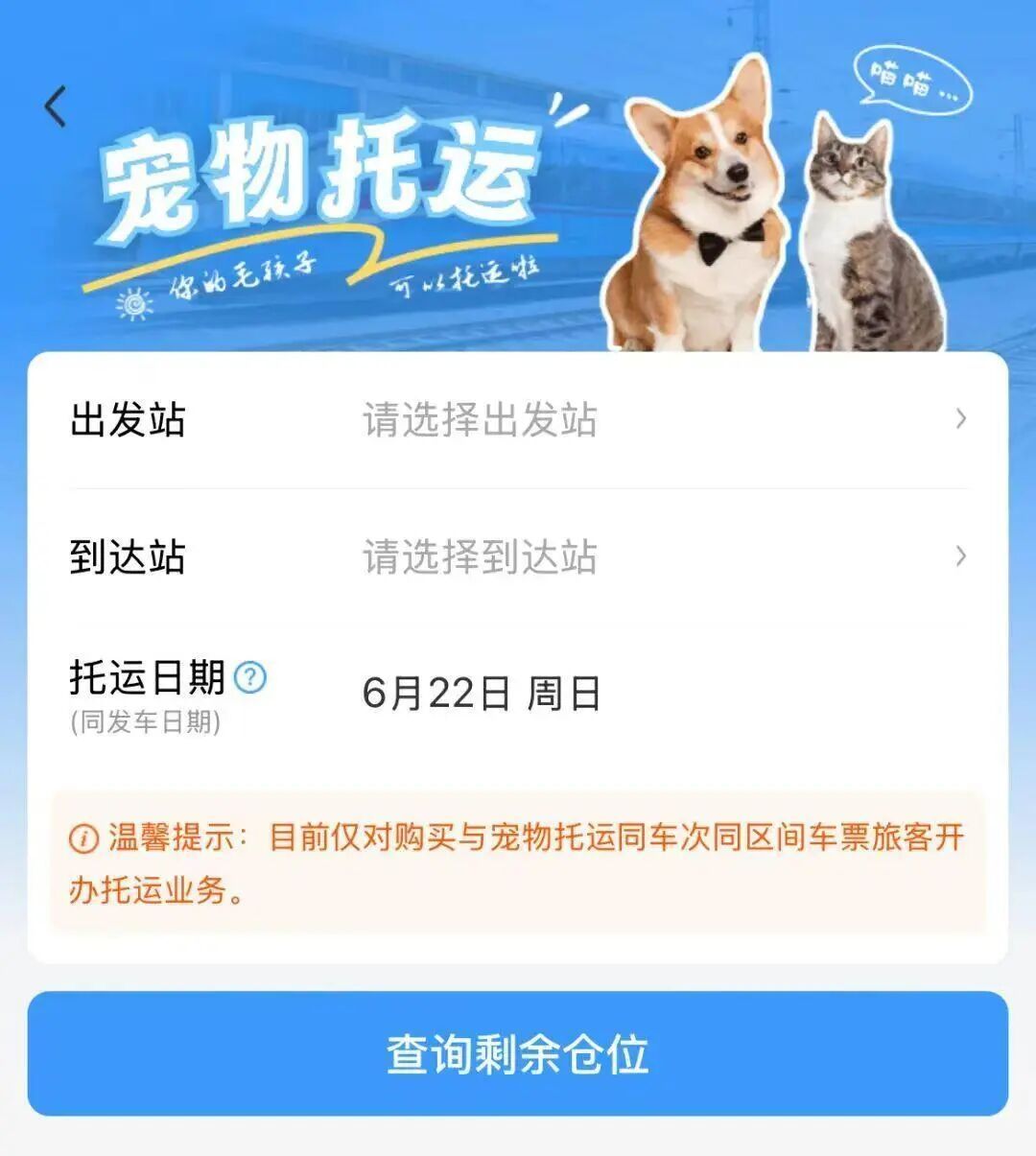 车票出现“雪”字？12306购票页上的这些标识，到底啥意思？