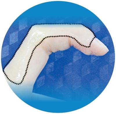 小小家蚕,原来有这么多神奇应用(院士讲科普) 小小家蚕,原来有这么多神奇应用(院士讲科普)