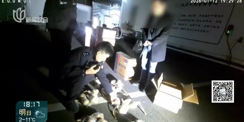 倒吸一口凉气！上海一小区车库竟成“火药库”，当事人已被拘