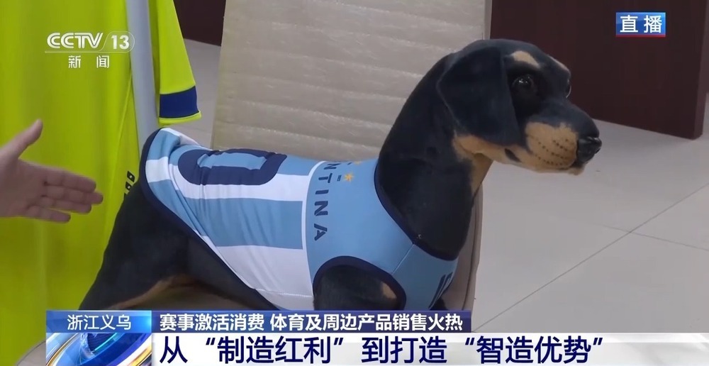 球迷服、加油喇叭……义乌借世界杯东风加速驶入体育消费“快车道” 球迷服、加油喇叭……义乌借世界杯东风加速驶入体育消费“快车道”