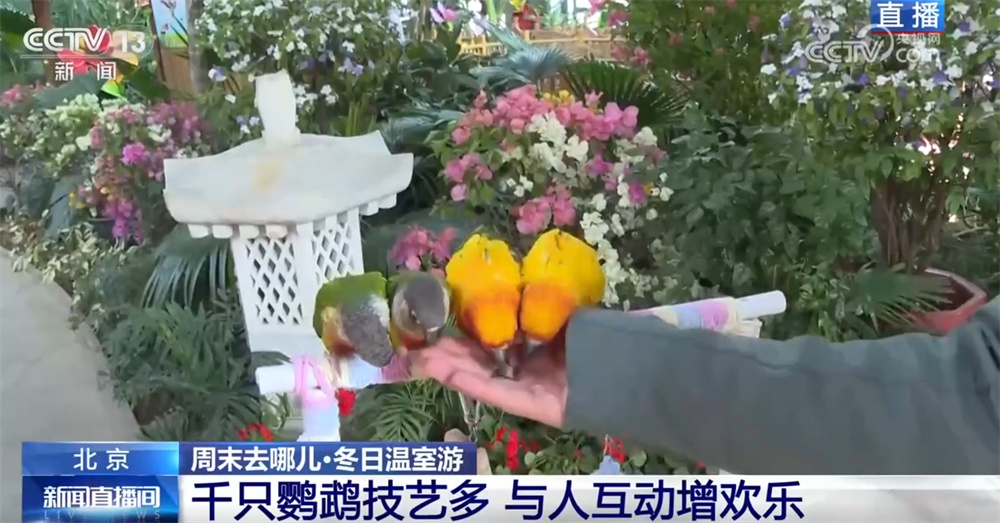 室内游升温、研学游正当时 文旅“热”让“冬日经济”多点开花、活力迸发