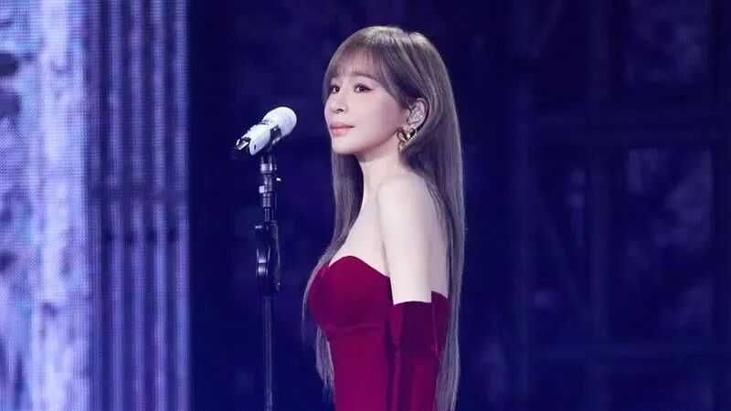 王心凌演唱会发生意外