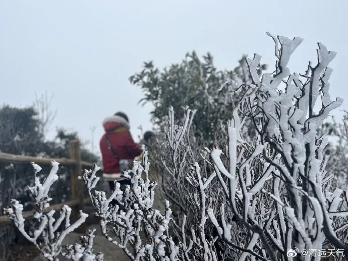 气温回升！但下周有雨又有雾，广东人最怕的回南天可能要来？！