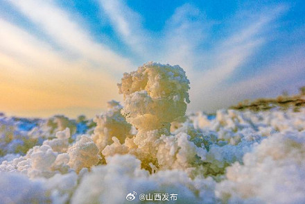 冬日限定 盐湖“硝花”绽放