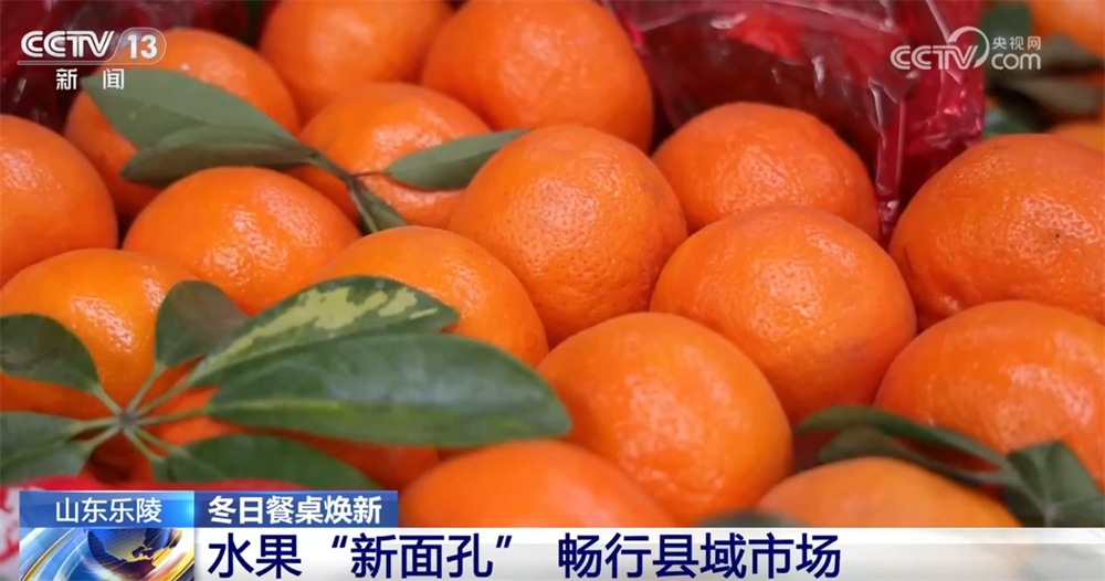 县域市场水果“焕新”、传统菜市活力升级 从“菜篮子”“果盘子”透视消费潜力 县域市场水果“焕新”、传统菜市活力升级 从“菜篮子”“果盘子”透视消费潜力